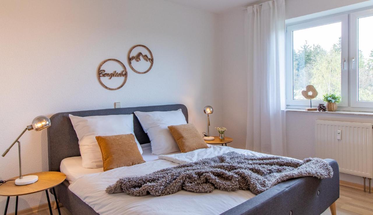 Apartment Bergwiese I Balkon I Aufzug I Stellplatz Schwarzenberg  Kültér fotó